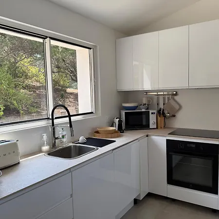 Solanella * 코티치아바리