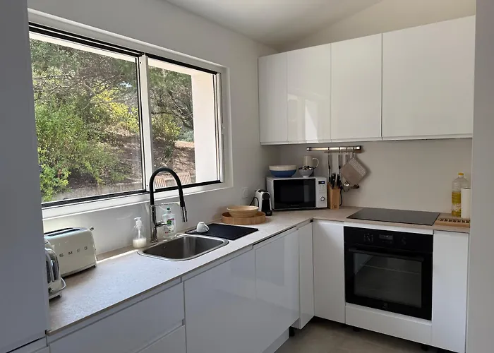 Solanella * 코티치아바리