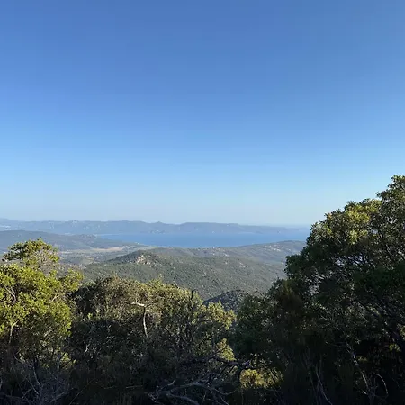Solanella * Coti-Chiavari (Corsica)