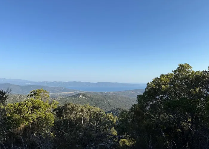 Solanella * Coti-Chiavari (Corsica)